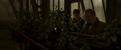 EdP-Potterish10074.jpg