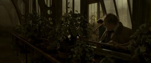 EdP-Potterish10076.jpg
