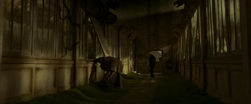 EdP-Potterish10080.jpg