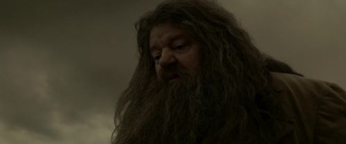 EdP-Potterish10237.jpg