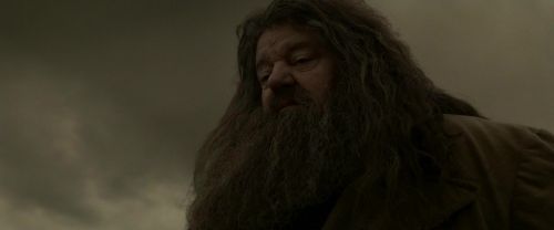 EdP-Potterish10239.jpg