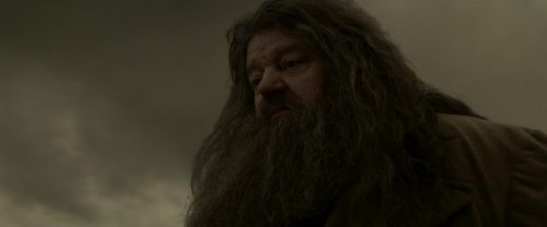 EdP-Potterish10240.jpg