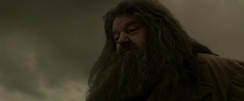 Click to view full size image
==============
EdP-Potterish10241.jpg EdP-Potterish10241.jpg