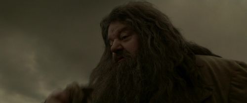 Click to view full size image
==============
EdP-Potterish10242.jpg EdP-Potterish10242.jpg