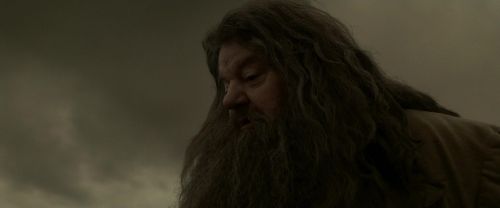 EdP-Potterish10243.jpg