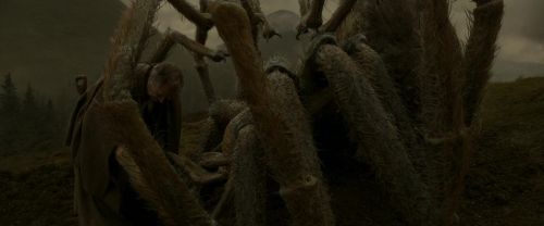 EdP-Potterish10280.jpg