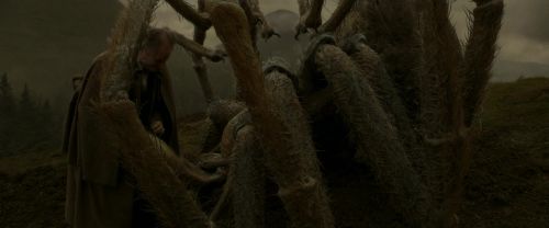 EdP-Potterish10283.jpg
