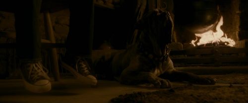 EdP-Potterish10364.jpg
