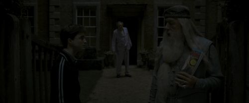 EdP-Potterish1041.jpg
