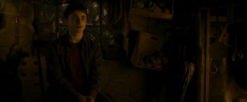EdP-Potterish10463.jpg