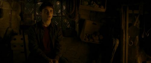 EdP-Potterish10464.jpg