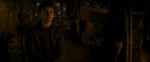 Click to view full size image
==============
EdP-Potterish10519.jpg EdP-Potterish10519.jpg