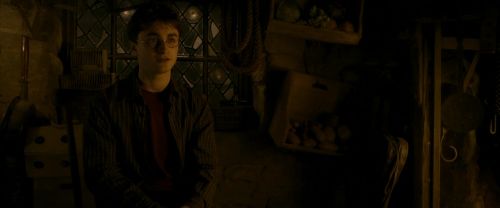 EdP-Potterish10520.jpg