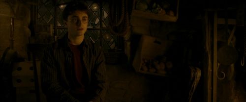 EdP-Potterish10521.jpg