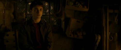 EdP-Potterish10547.jpg