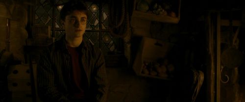 EdP-Potterish10548.jpg