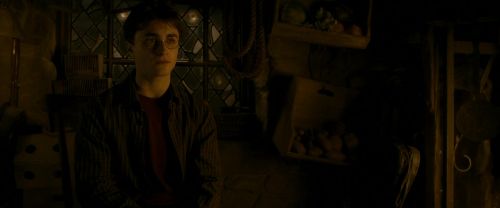 EdP-Potterish10557.jpg