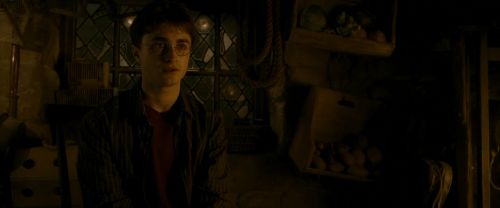 EdP-Potterish10585.jpg