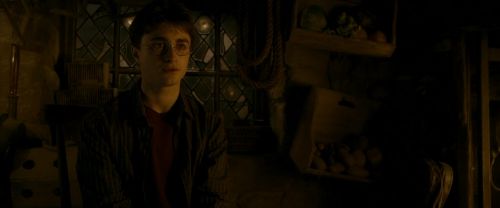 EdP-Potterish10586.jpg