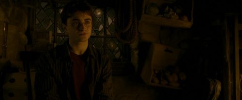EdP-Potterish10597.jpg