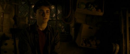 Click to view full size image
==============
EdP-Potterish10602.jpg EdP-Potterish10602.jpg