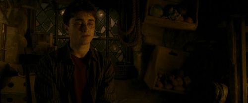 EdP-Potterish10604.jpg