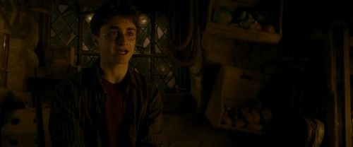 EdP-Potterish10605.jpg