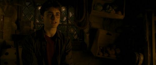 EdP-Potterish10606.jpg