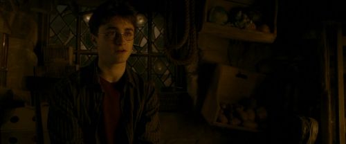 EdP-Potterish10607.jpg