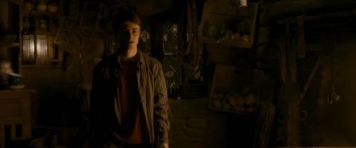 EdP-Potterish10627.jpg