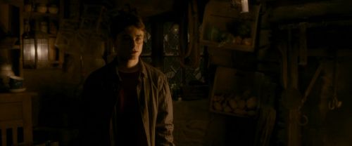 EdP-Potterish10629.jpg