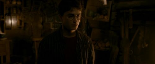 EdP-Potterish10634.jpg