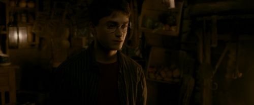 EdP-Potterish10635.jpg