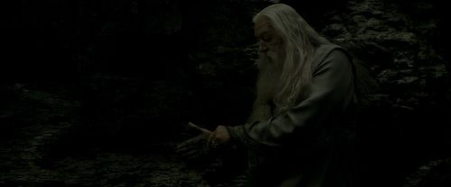 EdP-Potterish11478.jpg