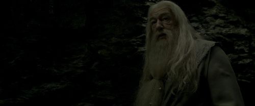 EdP-Potterish11493.jpg