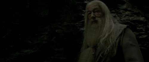 Click to view full size image
==============
EdP-Potterish11494.jpg EdP-Potterish11494.jpg
