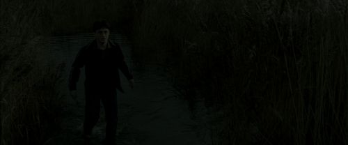 EdP-Potterish1160.jpg