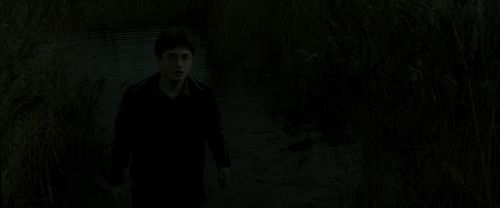 EdP-Potterish1162.jpg