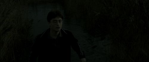 EdP-Potterish1163.jpg