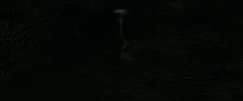 EdP-Potterish11648.jpg