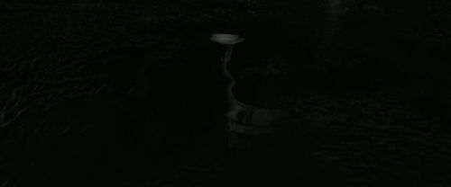 EdP-Potterish11649.jpg