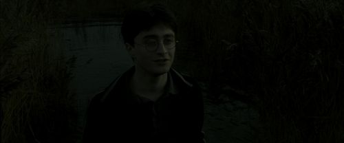 EdP-Potterish1172.jpg