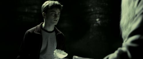 EdP-Potterish11762.jpg