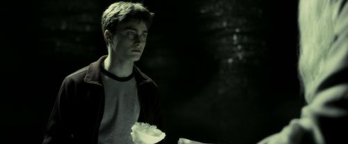 EdP-Potterish11764.jpg