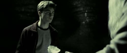 EdP-Potterish11765.jpg