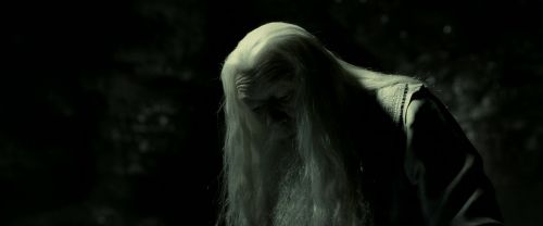 EdP-Potterish11801.jpg