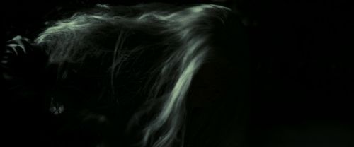 Click to view full size image
==============
EdP-Potterish11838.jpg EdP-Potterish11838.jpg