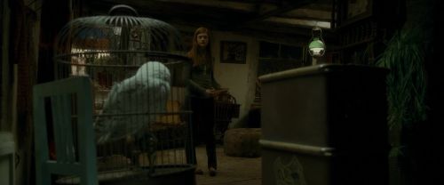 Click to view full size image
==============
EdP-Potterish1185.jpg EdP-Potterish1185.jpg