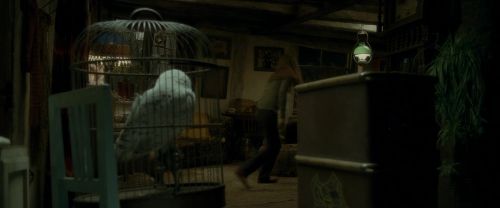 Click to view full size image
==============
EdP-Potterish1187.jpg EdP-Potterish1187.jpg