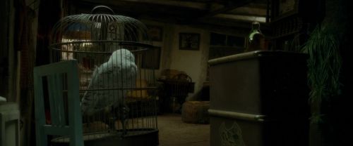 EdP-Potterish1188.jpg